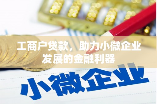 信州工商户贷款,助力小微企业发展的金融利器 信州工商户贷款,助力小微企业发展的金融利器