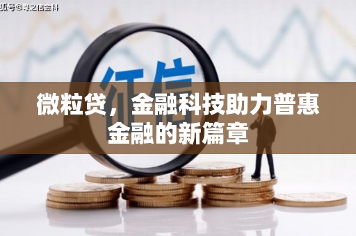虎林微粒贷，金融科技助力普惠金融的新篇章