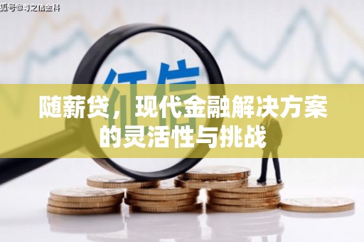 祁县随薪贷，现代金融解决方案的灵活性与挑战