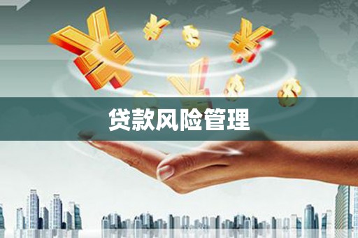 共和贷款风险管理