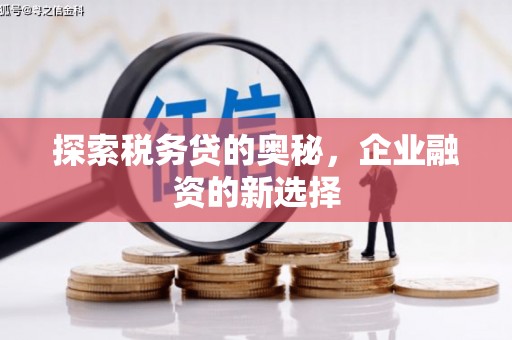 浮梁探索税务贷的奥秘，企业融资的新选择