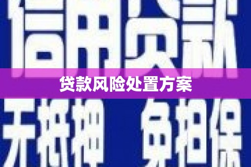 隆阳贷款风险处置方案