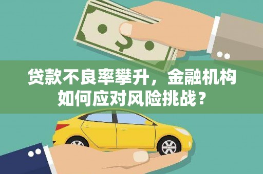 佳冬贷款不良率攀升，金融机构如何应对风险挑战？