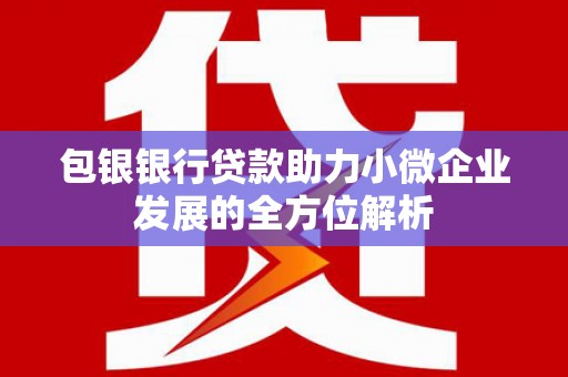 洞头包银银行贷款助力小微企业发展的全方位解析 洞头包银银行贷款助力小微企业发展的全方位解析