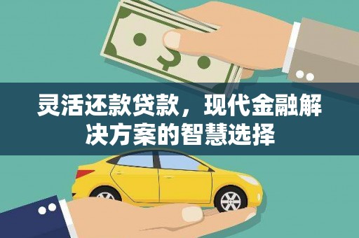 山阳灵活还款贷款，现代金融解决方案的智慧选择