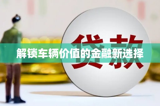 二水解锁车辆价值的金融新选择