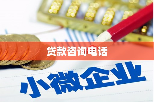 凤城贷款咨询电话