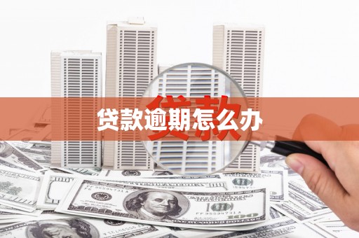 临西贷款逾期怎么办