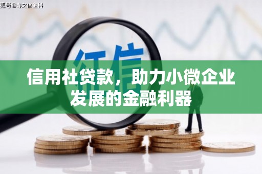 泰州信用社贷款，助力小微企业发展的金融利器