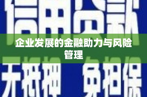 天元企业发展的金融助力与风险管理