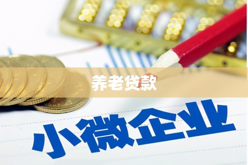 船营养老贷款