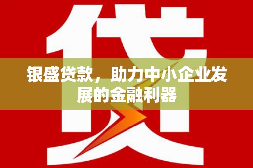闵行银盛贷款，助力中小企业发展的金融利器