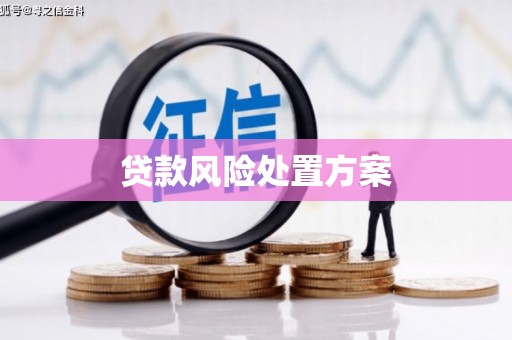 鸡泽贷款风险处置方案