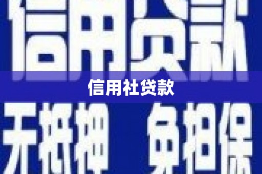 天镇信用社贷款