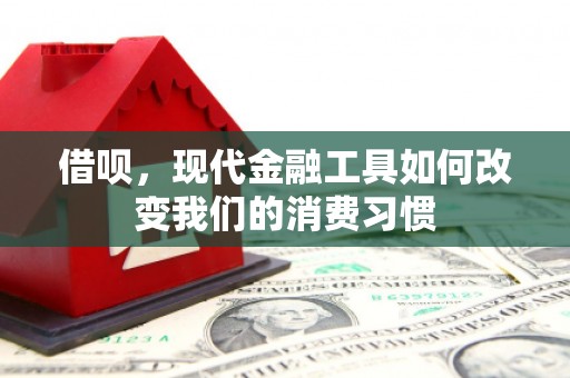 云霄借呗，现代金融工具如何改变我们的消费习惯