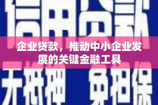 那玛夏企业贷款，推动中小企业发展的关键金融工具