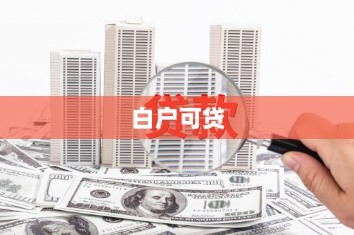 特克斯白户可贷