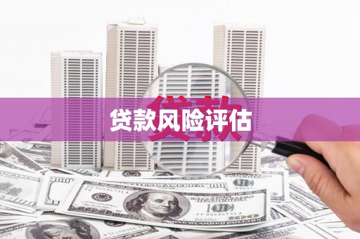 汶川贷款风险评估