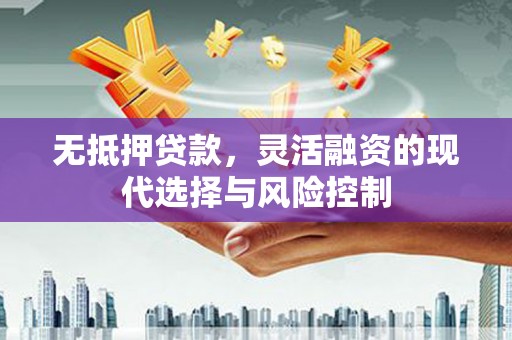 台东无抵押贷款，灵活融资的现代选择与风险控制