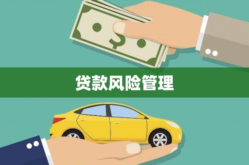 三穗贷款风险管理