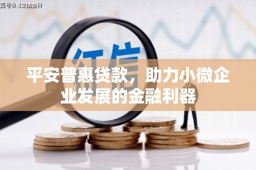 佛坪平安普惠贷款，助力小微企业发展的金融利器