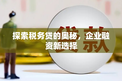 曲麻莱探索税务贷的奥秘，企业融资新选择