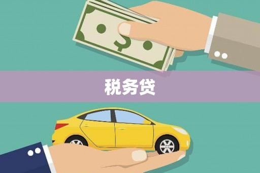 清流税务贷