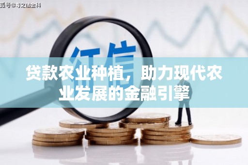 竹南贷款农业种植，助力现代农业发展的金融引擎