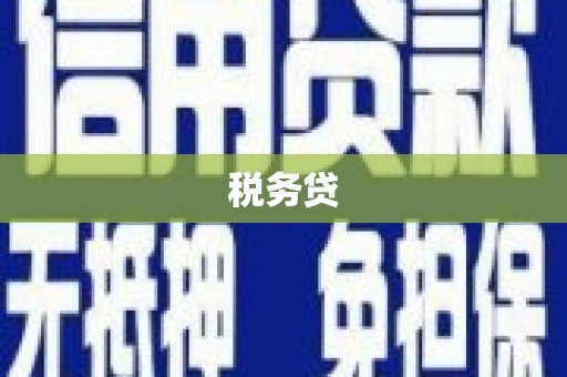 泗县税务贷