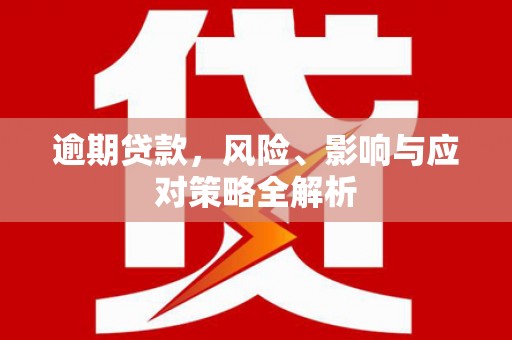 仁和逾期贷款，风险、影响与应对策略全解析