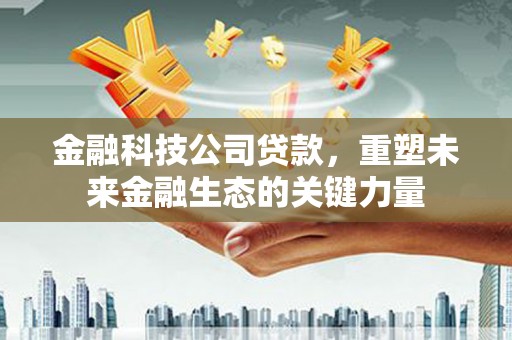 雷州金融科技公司贷款，重塑未来金融生态的关键力量