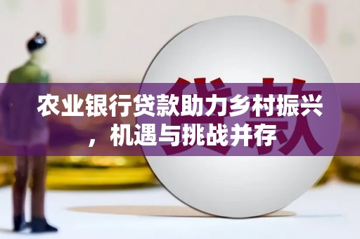 定陶农业银行贷款助力乡村振兴，机遇与挑战并存