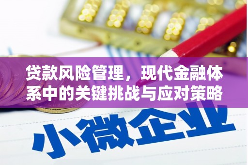 道里贷款风险管理，现代金融体系中的关键挑战与应对策略