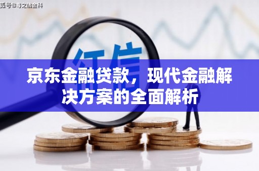 常宁京东金融贷款，现代金融解决方案的全面解析