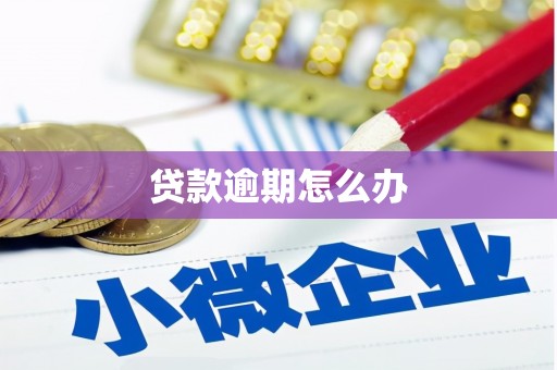 普兰贷款逾期怎么办