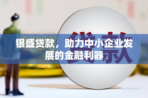 温宿银盛贷款，助力中小企业发展的金融利器