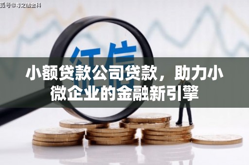 夏津小额贷款公司贷款，助力小微企业的金融新引擎