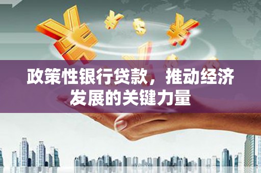 桂平政策性银行贷款，推动经济发展的关键力量