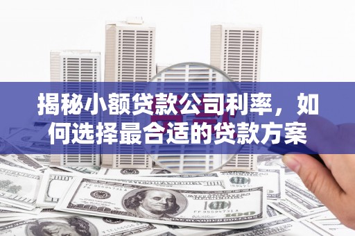 镜湖揭秘小额贷款公司利率，如何选择最合适的贷款方案