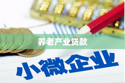 京山养老产业贷款