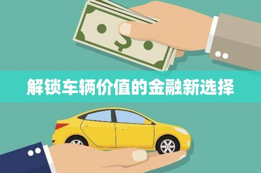 三沙解锁车辆价值的金融新选择