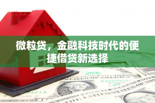 云梦微粒贷，金融科技时代的便捷借贷新选择