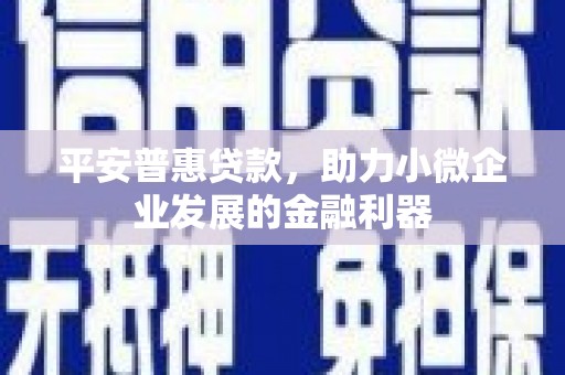 长宁平安普惠贷款，助力小微企业发展的金融利器