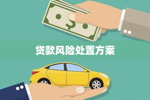 黔东南贷款风险处置方案
