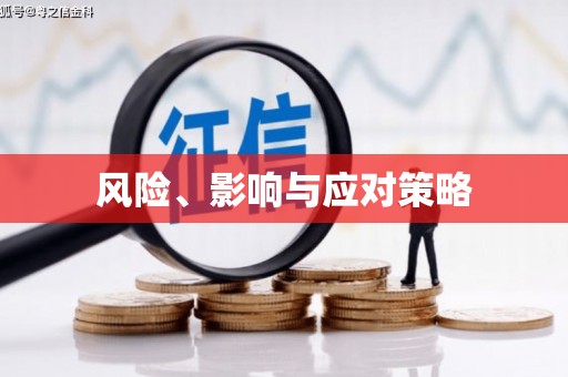 瑞昌风险、影响与应对策略