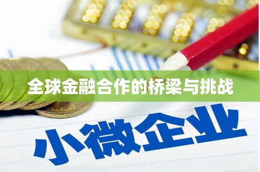 武川全球金融合作的桥梁与挑战