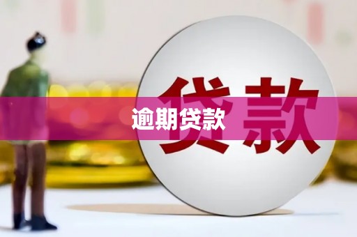 金塘逾期贷款